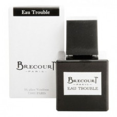 Brecourt Eau Trouble парфюмированная вода 50 мл