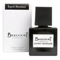 Brecourt Esprit Mondain парфюмированная вода 100 мл