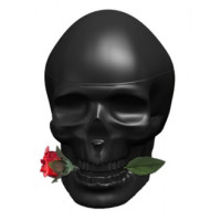 Christian Audigier Ed Hardy Skulls & Roses for Him тестер (туалетна вода) 100 мл