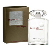 Salvatore Ferragamo Incanto Pour Homme туалетна вода 100 мл