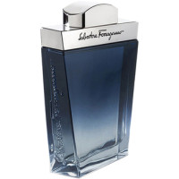 Salvatore Ferragamo Subtil Pour Homme тестер (туалетна вода) 100 мл