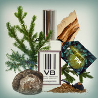 Victoria Bredikhina Dark Fir парфумована вода 60 мл