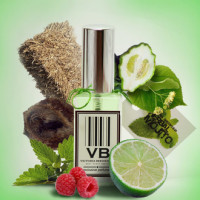 Victoria Bredikhina Herbal Mojito парфумована вода 60 мл